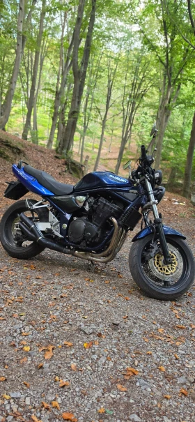 Suzuki Bandit 1200, снимка 5
