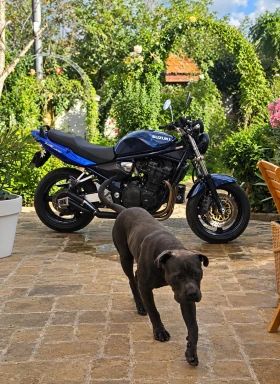 Suzuki Bandit 1200, снимка 1