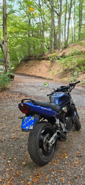 Suzuki Bandit 1200 | Mobile.bg � ����� ������ 7
