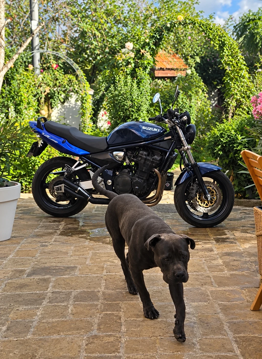 Suzuki Bandit 1200