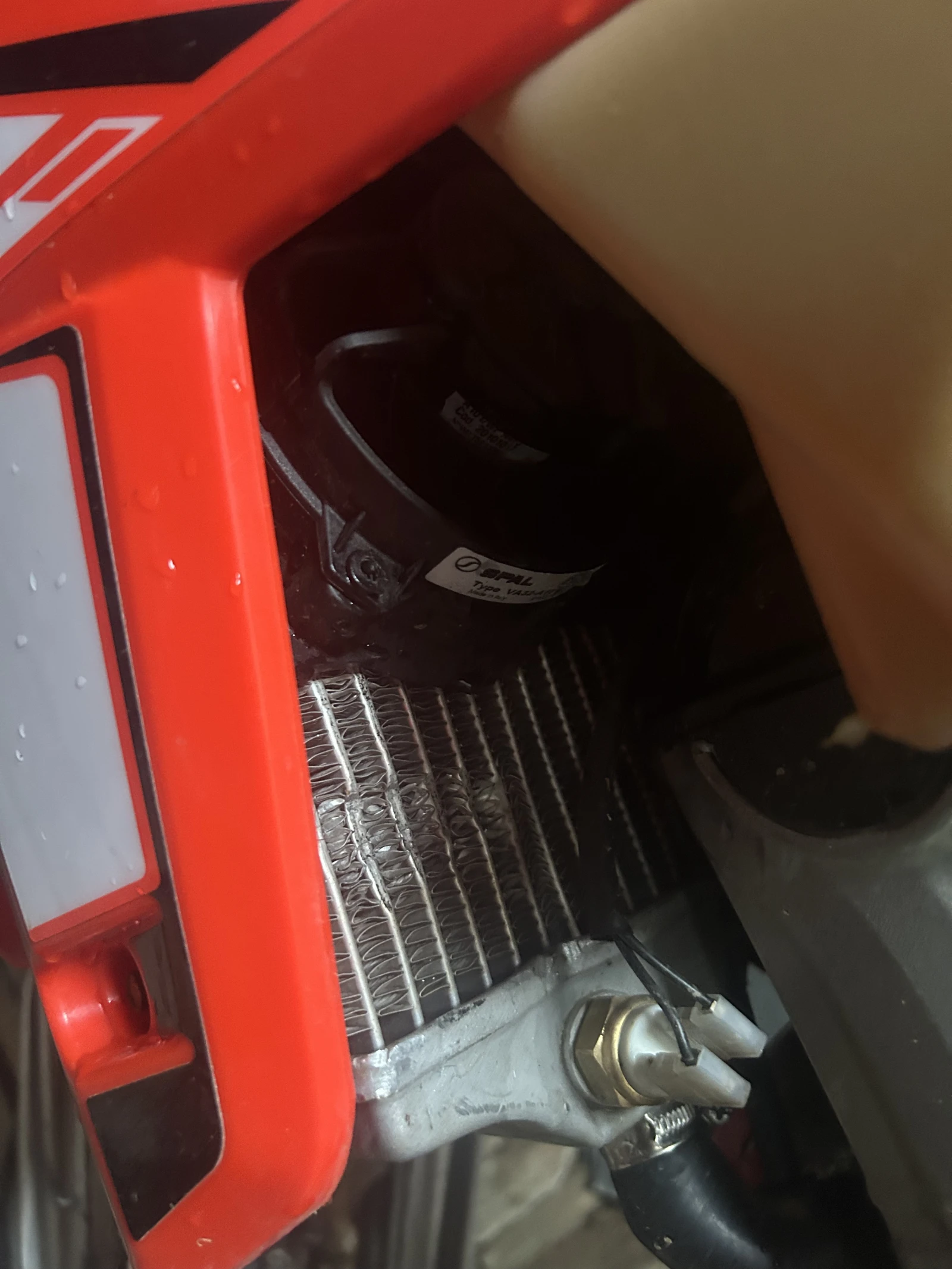 Beta Rr  - изображение 9