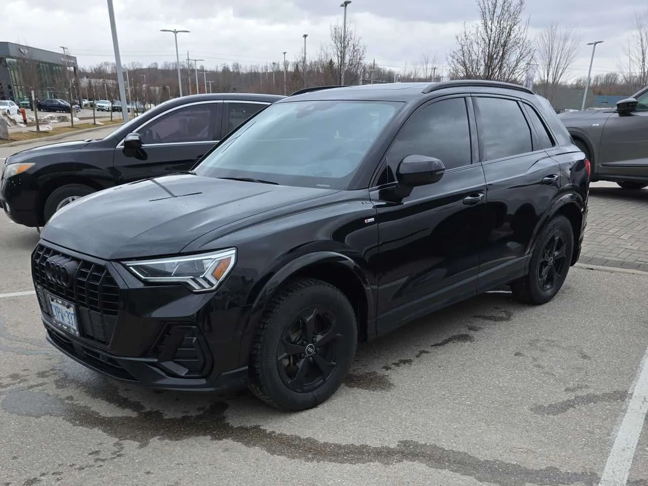 Audi Q3 Progressiv  CARFAX