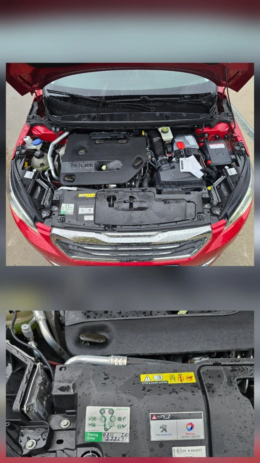 Peugeot 308 2.0HDI   ���������  | Mobile.bg � ����������� 13