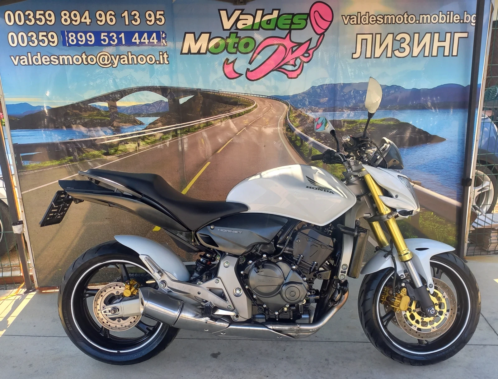 Honda Hornet 600 - изображение 4