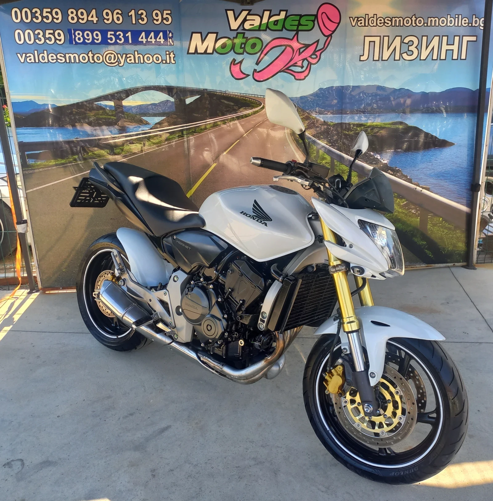 Honda Hornet 600 - изображение 2