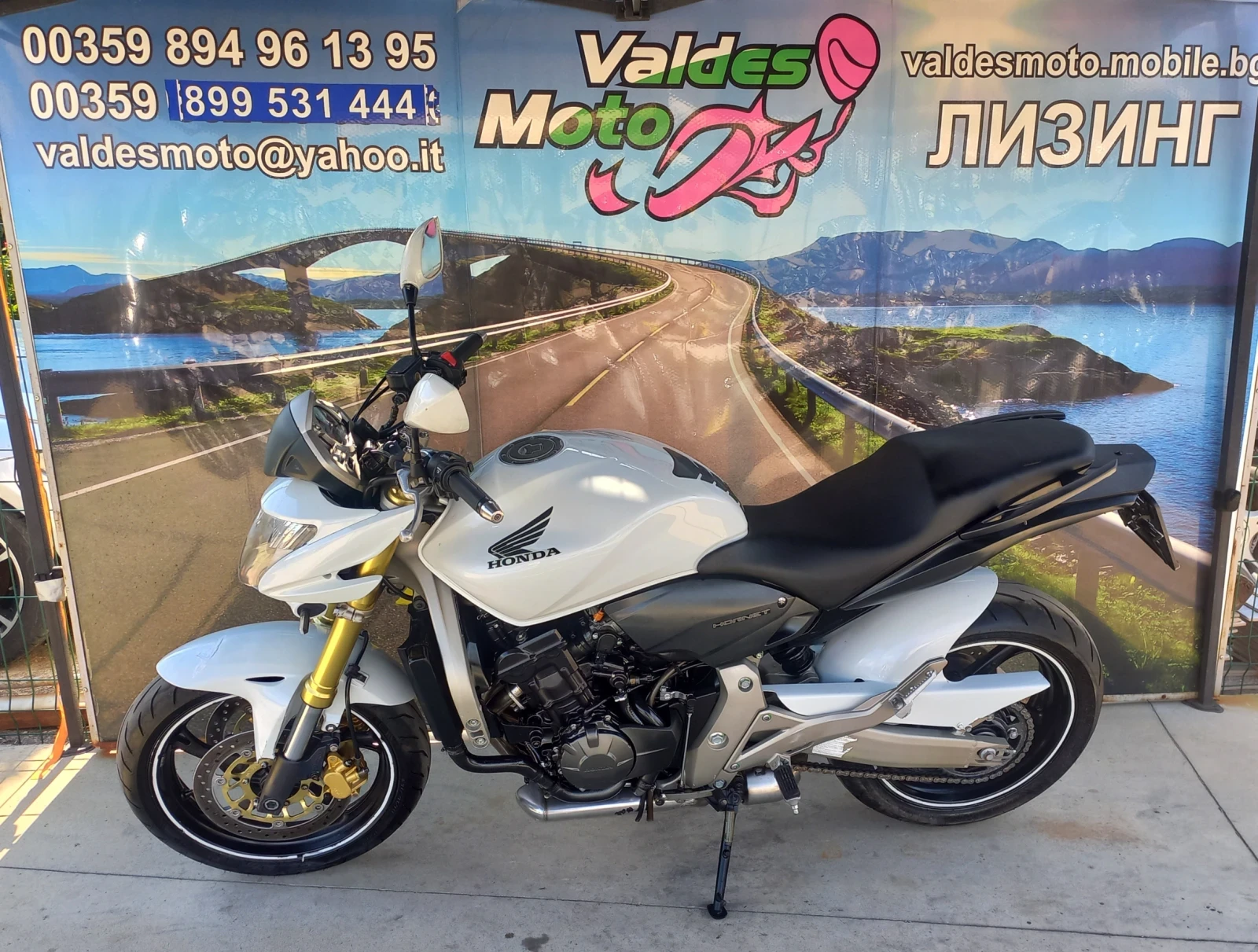 Honda Hornet 600 - изображение 3
