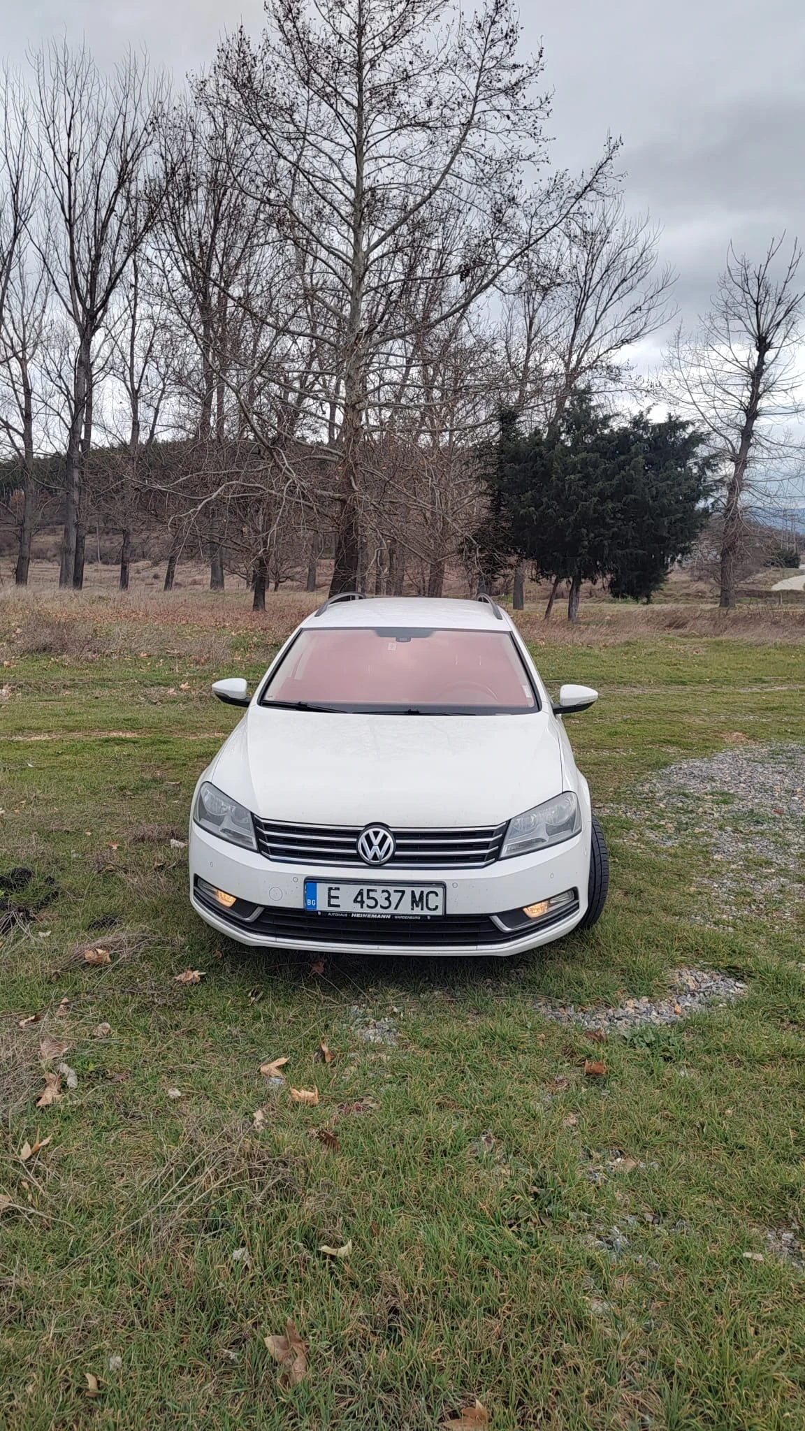 VW Passat