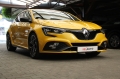 Renault Megane R.S Trophy/4CONTROL/LED Pure Vision /BOSE/Kamera - [4] 