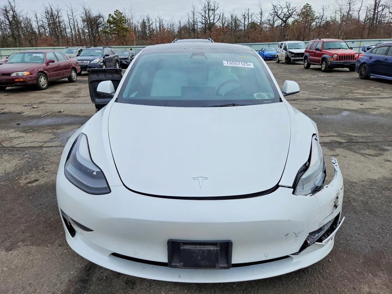 Tesla Model 3, снимка 5 - Автомобили и джипове - 54664125