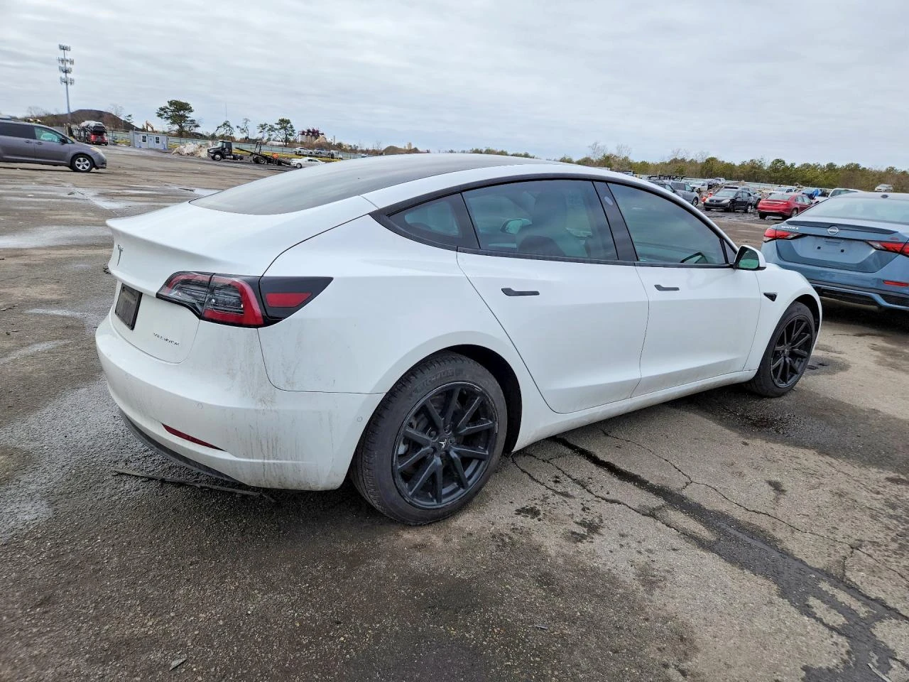 Tesla Model 3, снимка 3 - Автомобили и джипове - 54664125