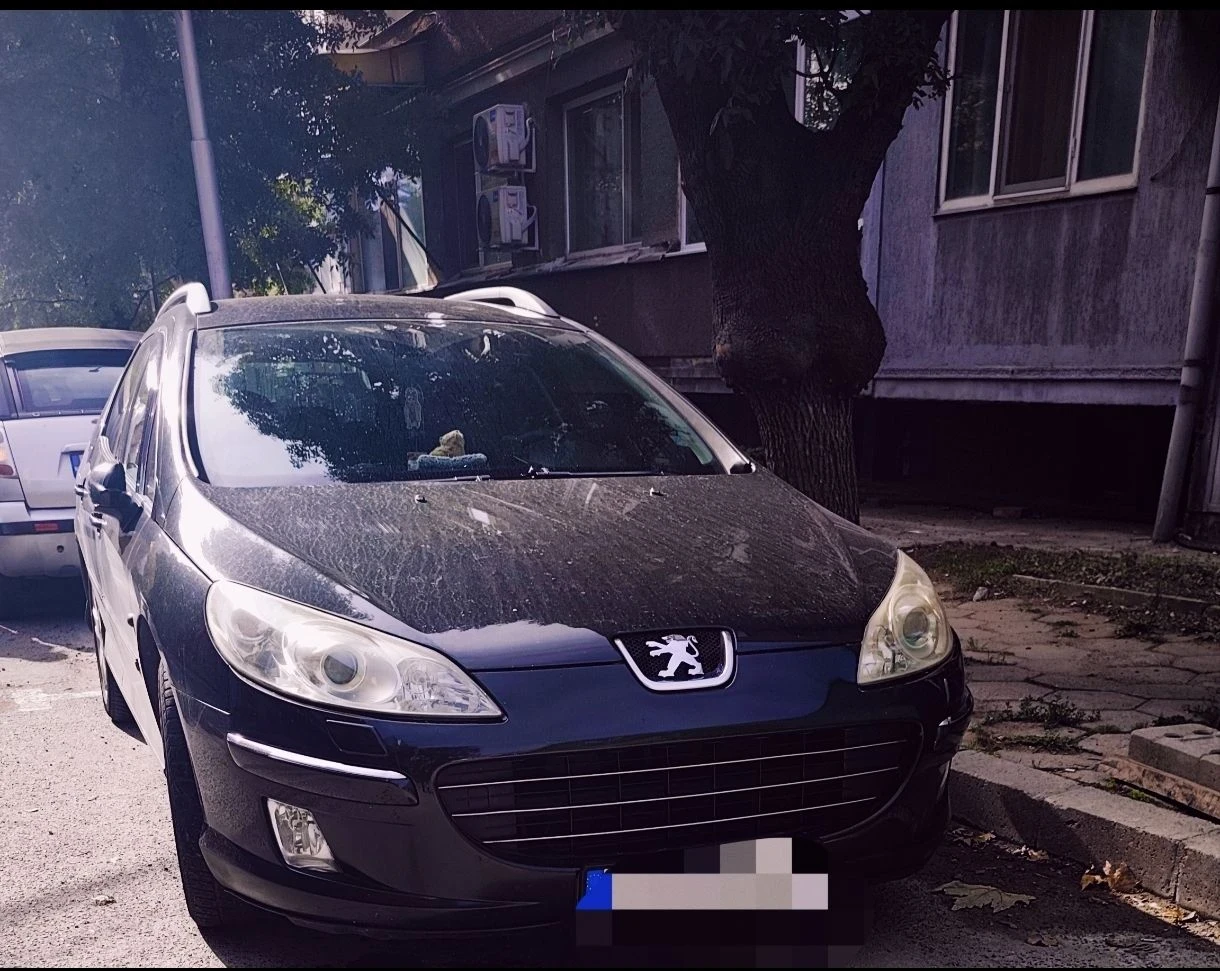 Peugeot 407, снимка 2 - Автомобили и джипове - 56687010
