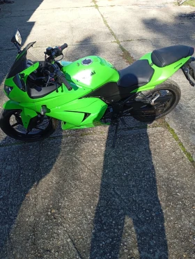 Kawasaki Ninja 250R, снимка 6