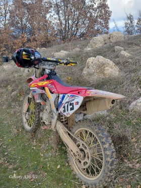 Honda Crf undefined | Auto.bg — изображение 2