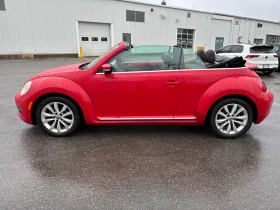 VW Beetle CARFAX* АВТОФИНАНСИРАНЕ* БЕЗ ПЪРВОНАЧАЛНА ВНОСКА*  - 13000 лв. / 6646.79 € - 44312545 11