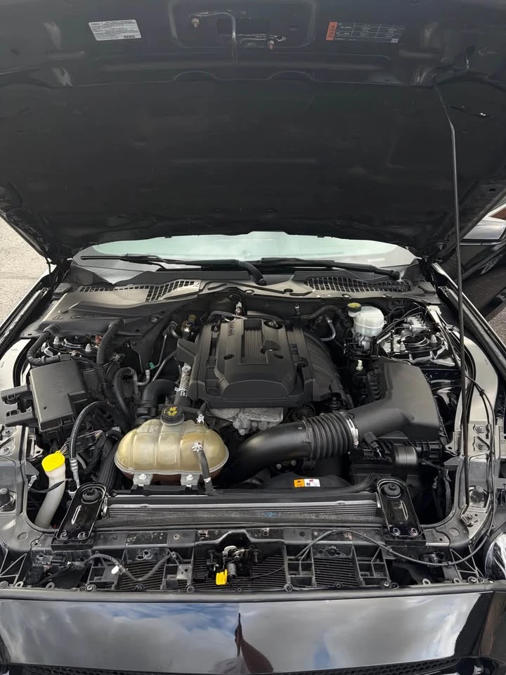 Ford Mustang EcoBoost, КРАЙНА ЦЕНА до БГ, снимка 9 - Автомобили и джипове - 56238897