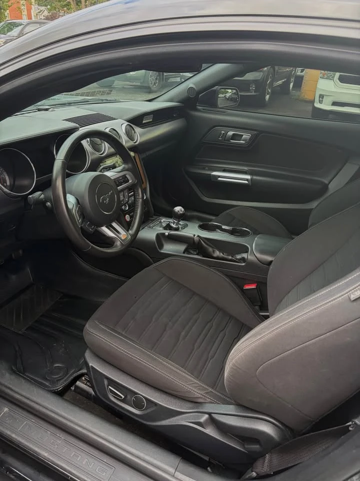 Ford Mustang EcoBoost, КРАЙНА ЦЕНА до БГ, снимка 11 - Автомобили и джипове - 56238897