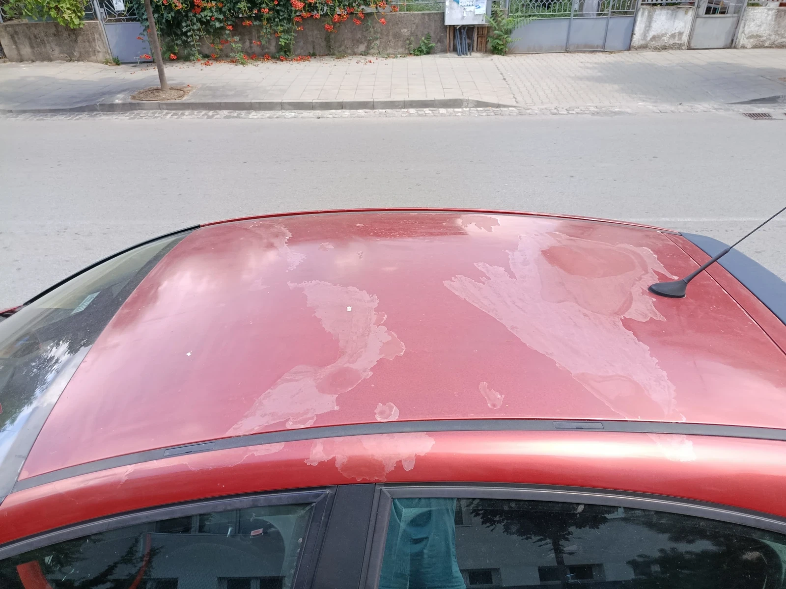Citroen C4  - изображение 9