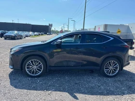 Lexus NX 350h * CARFAX * ОПЦИЯ ЗА ФИНАНСИРАНЕ, снимка 2