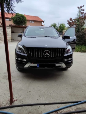  Mercedes-Benz ML 250