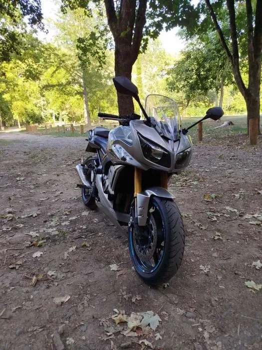 Yamaha FZ1 Fazer