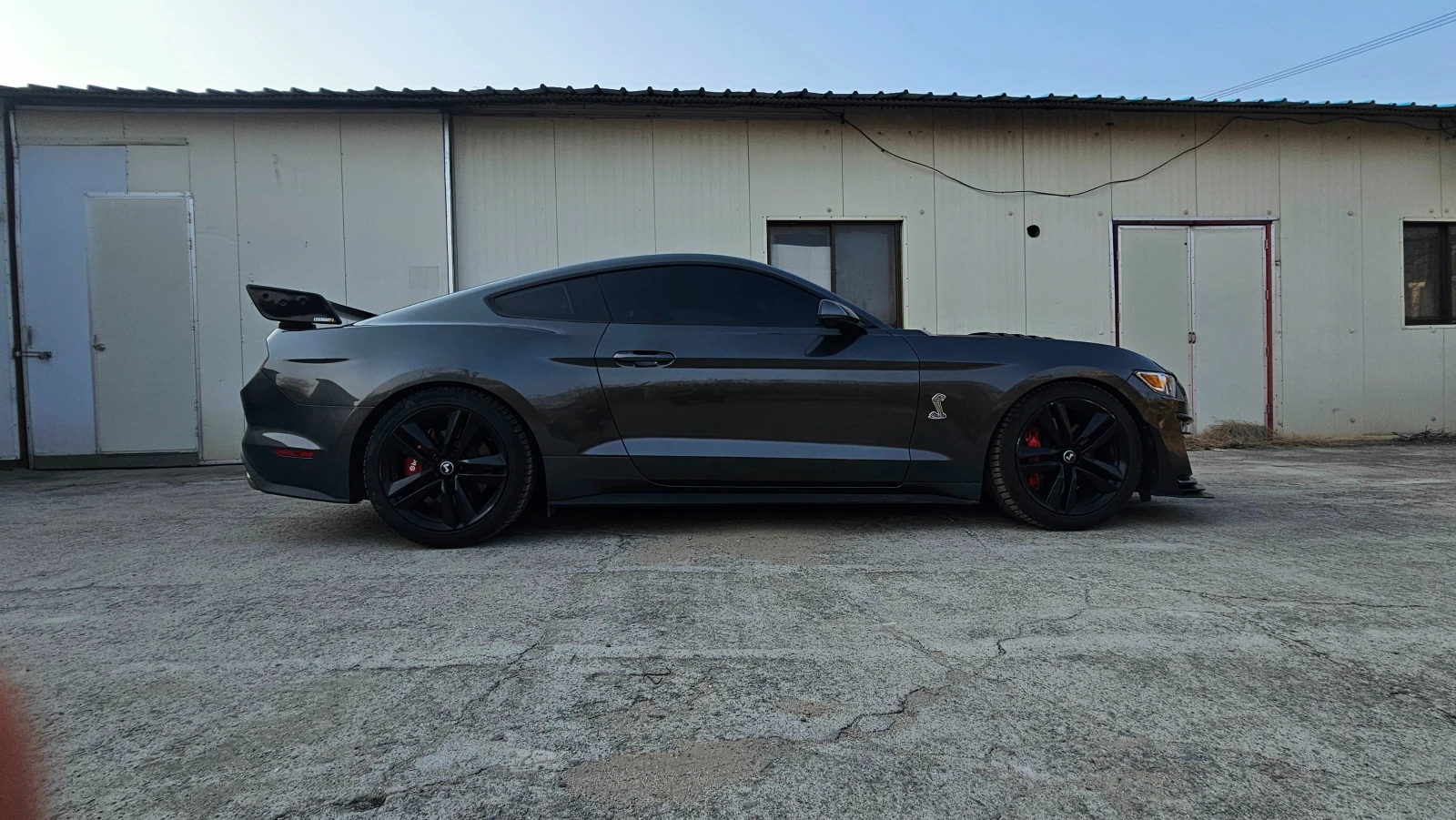 Ford Mustang SHELBY GT 500* CORSA* CARBON* ОБДУХ* КРАЙНА ЦЕНА, снимка 4 - Автомобили и джипове - 54750249