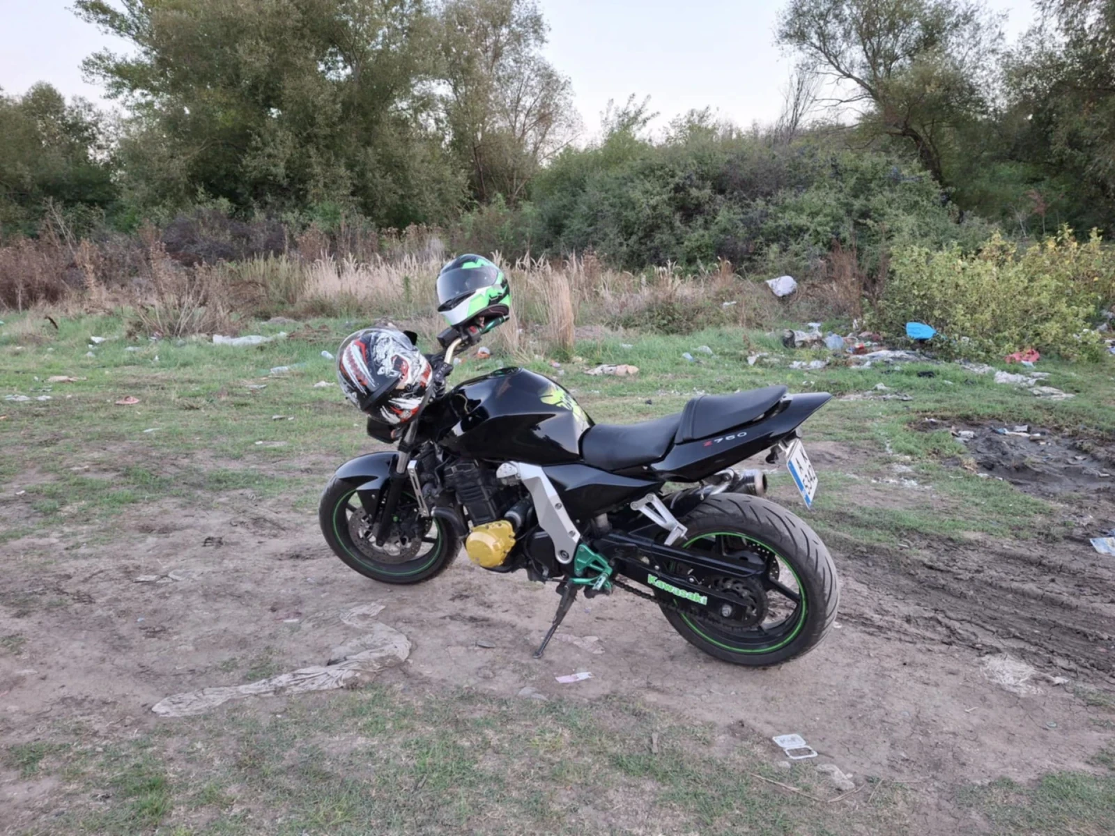 Kawasaki Z  - изображение 4