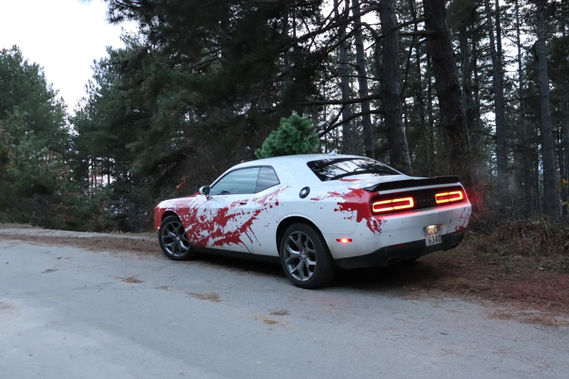 Dodge Challenger, снимка 4 - Автомобили и джипове - 51249010