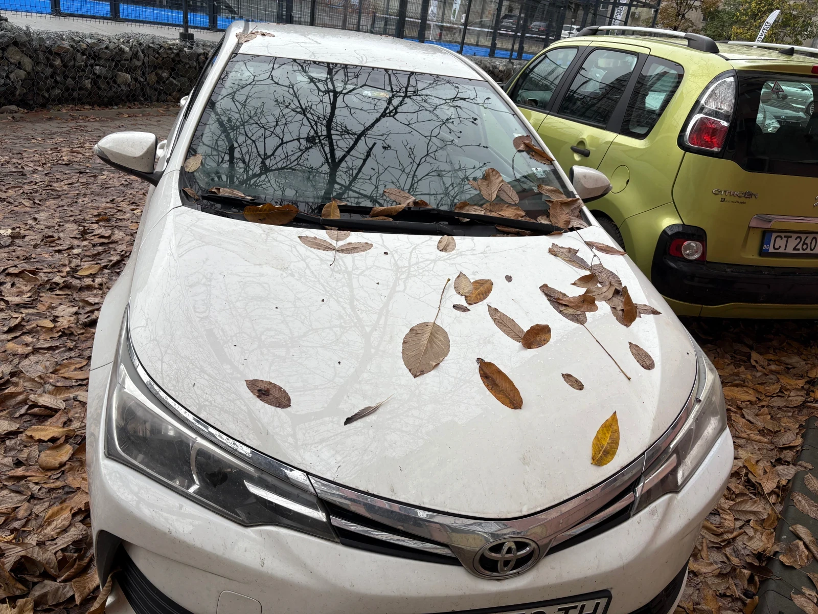 Toyota Corolla  | Mobile.bg   3