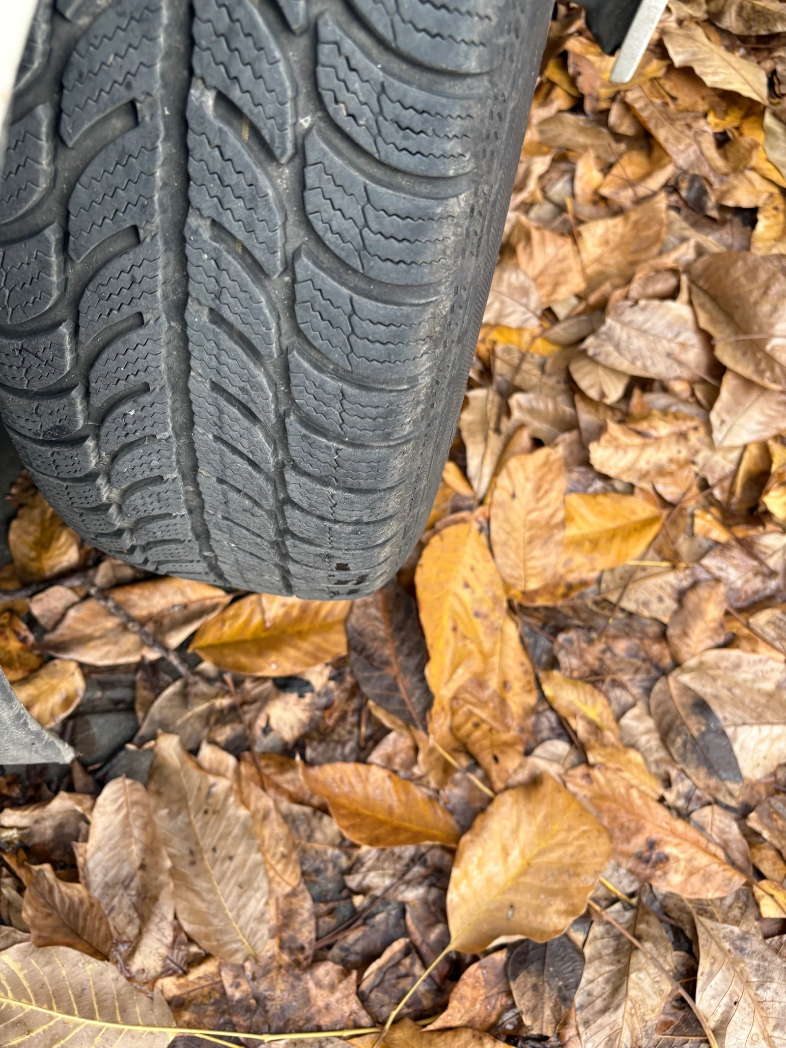 Toyota Corolla  | Mobile.bg   10