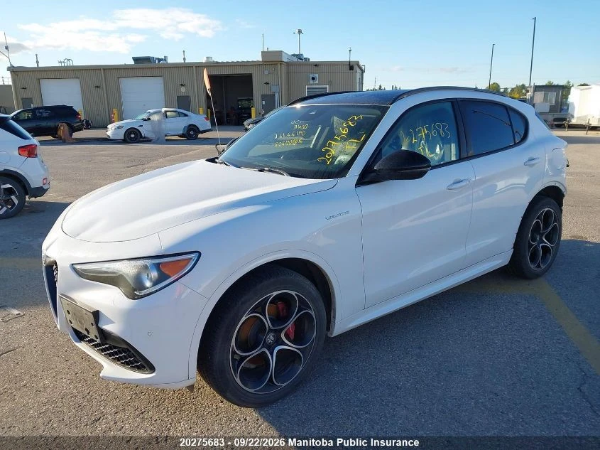 Alfa Romeo Stelvio TI, снимка 3 - Автомобили и джипове - 56222839