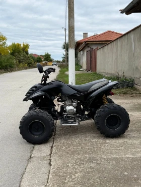 Shineray XY ATV 250cc | Mobile.bg    6