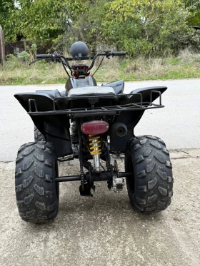 Shineray XY ATV 250cc | Mobile.bg    8