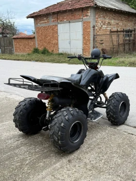 Shineray XY ATV 250cc | Mobile.bg    5