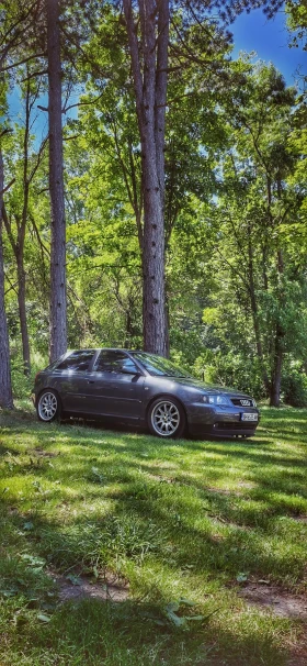 Обява за продажба на Audi A3 8l 1.8 T ~5 700 лв. - изображение 6