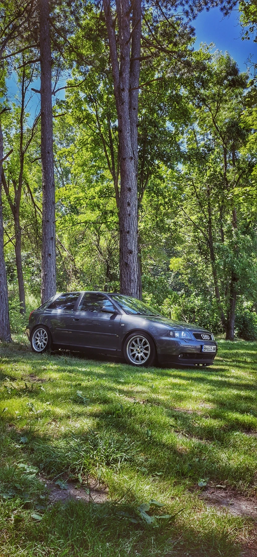 Audi A3 8l 1.8 T - изображение 7