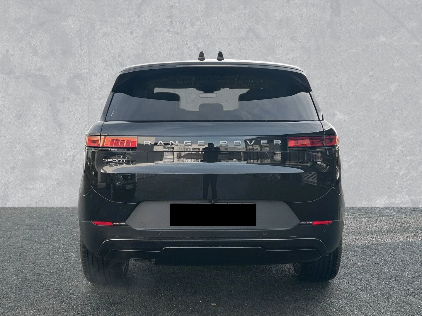 Land Rover Range Rover Sport SE d250 NAVI 360 CAMERA  - изображение 5