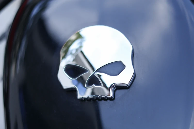 Harley-Davidson Sportster 1200N, снимка 8 - Мотоциклети и мототехника - 50699144