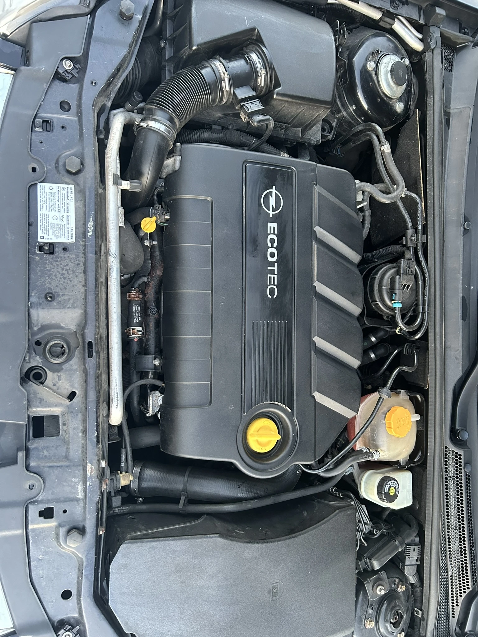 Opel Signum COSMO Face  | Mobile.bg � ����������� 8