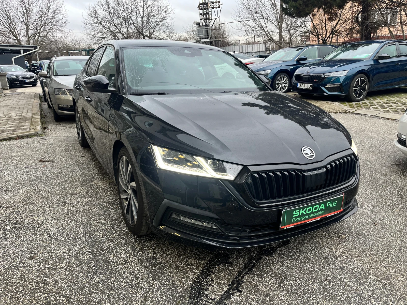 Skoda Octavia 1.5 TSI 7DSG M-HEV - изображение 2