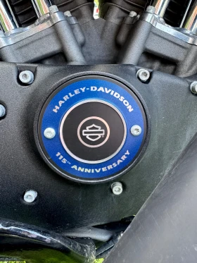 Harley-Davidson Sportster Forty-Eight 115th Anniversary Edit, снимка 13
