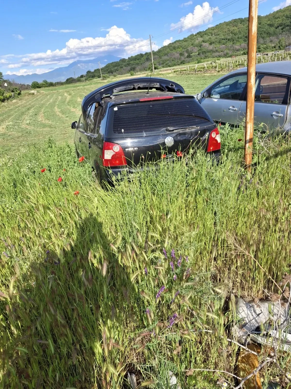 VW Polo