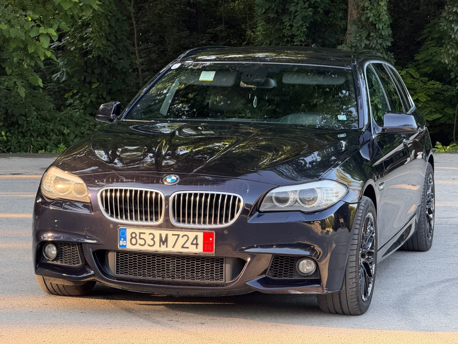BMW 530 530XD, снимка 9 - Автомобили и джипове - 55180162