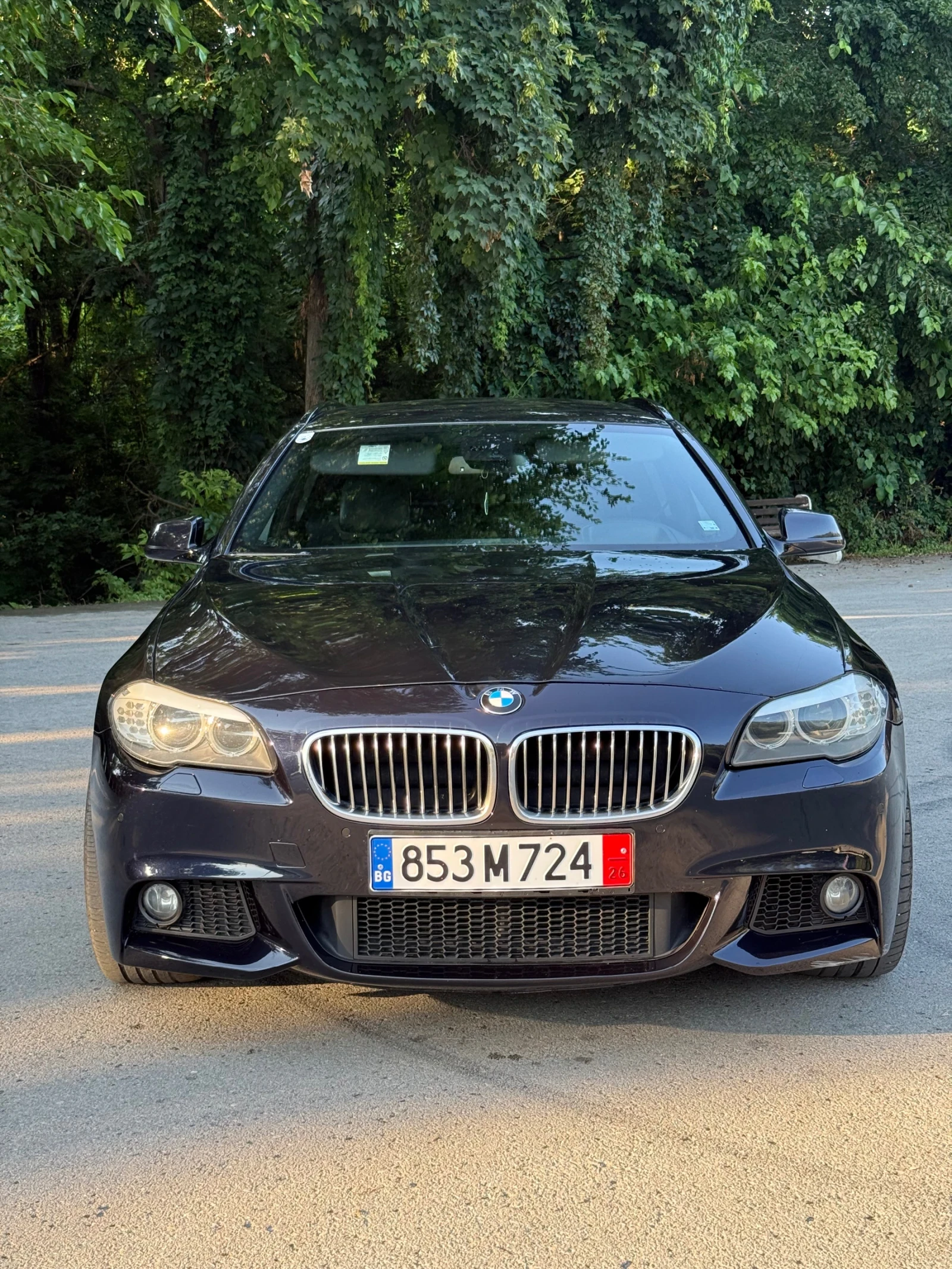 BMW 530 530XD, снимка 8 - Автомобили и джипове - 55180162