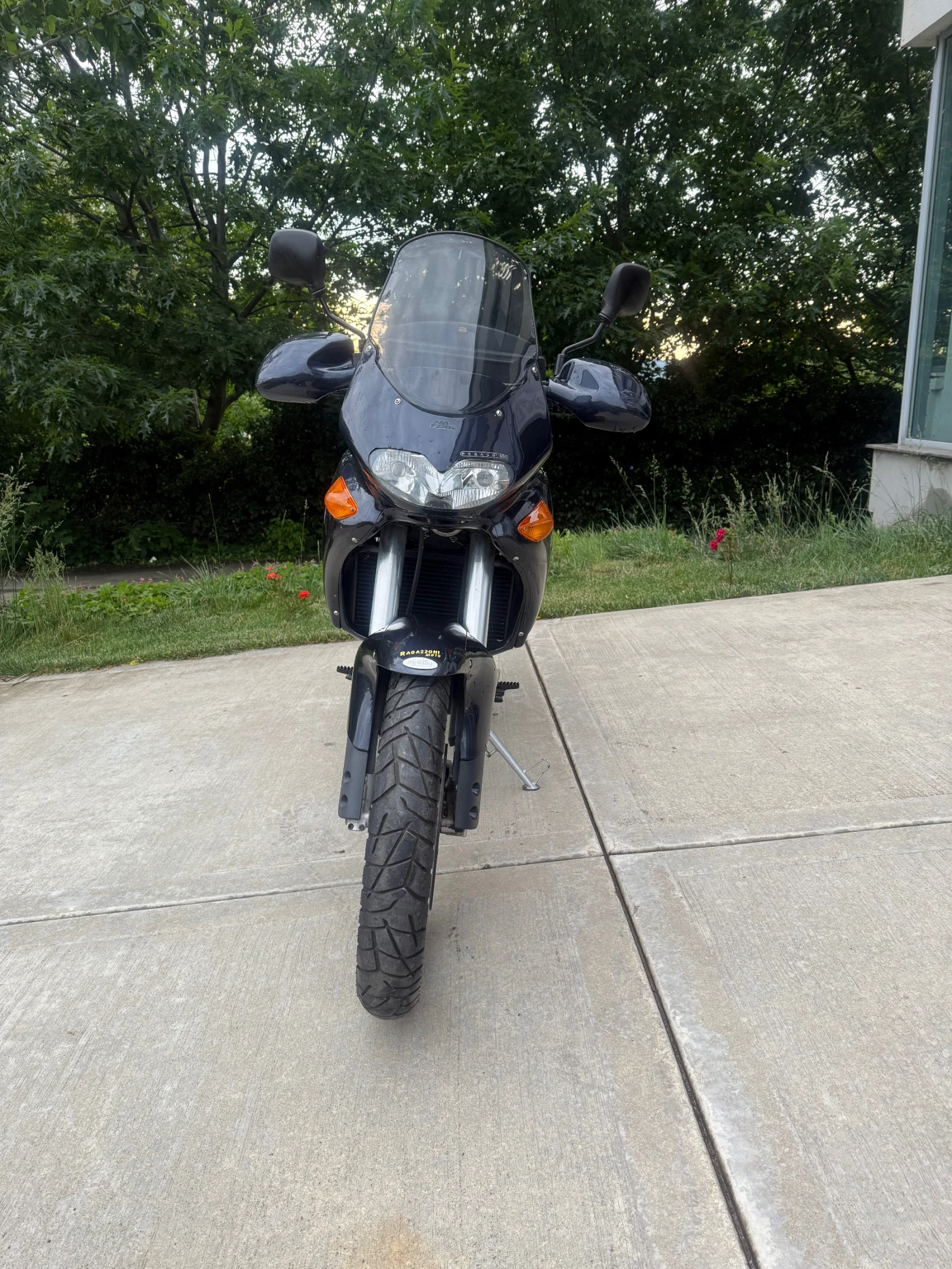 Aprilia Pegaso 650 - изображение 3