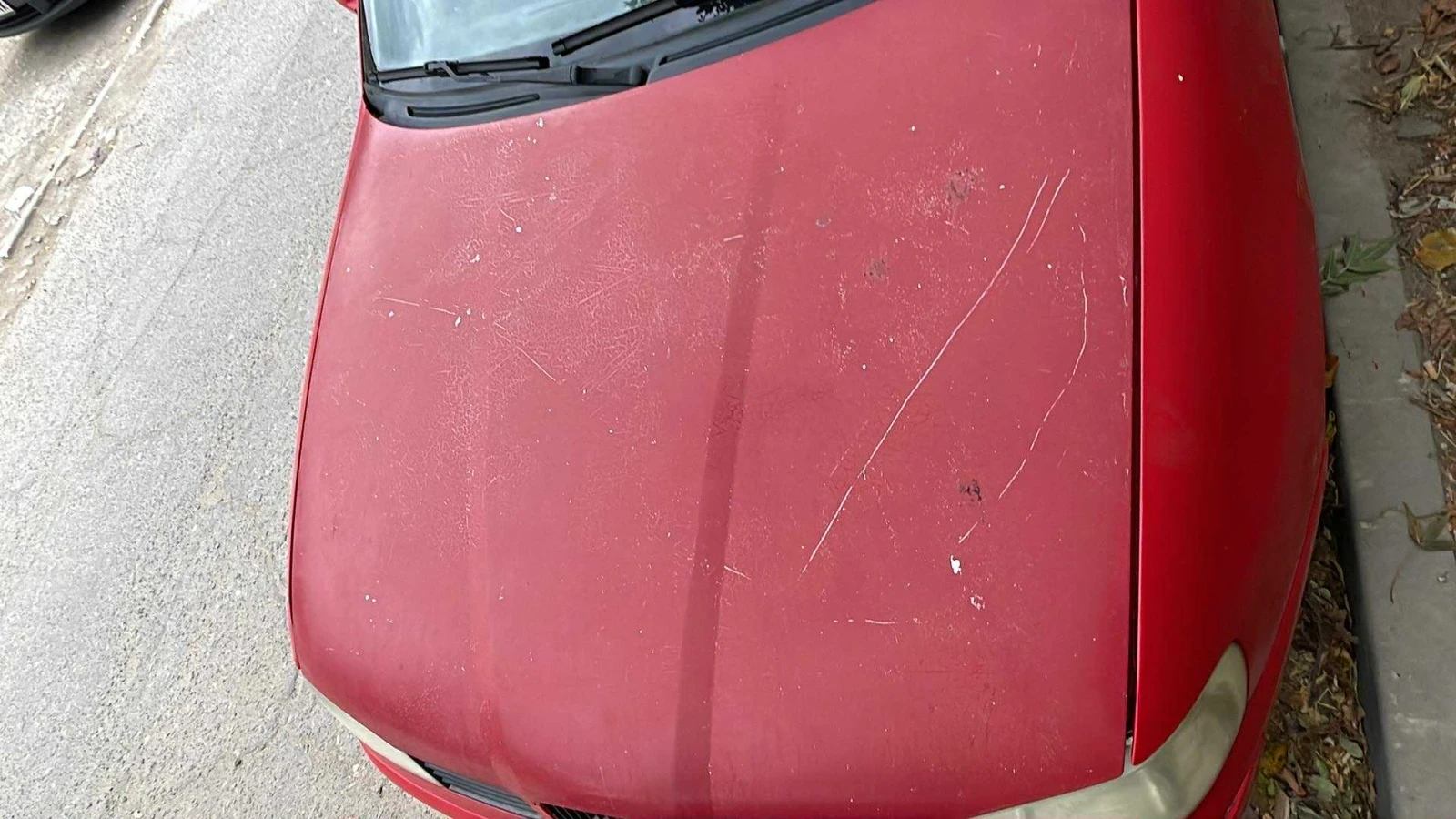 Seat Ibiza  - изображение 2