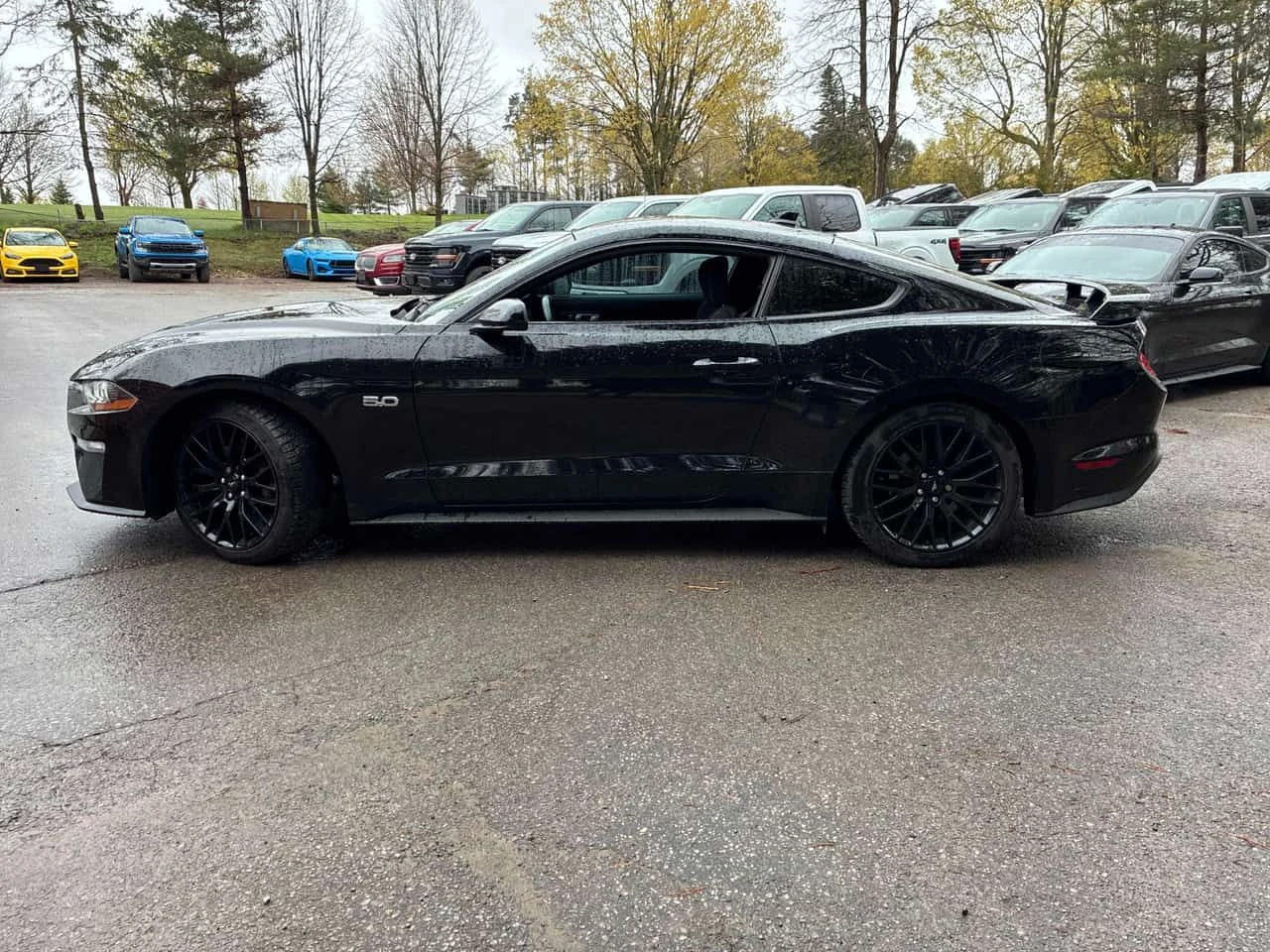 Ford Mustang * GT * РЪЧКА * КАМЕРА * АВТОКРЕДИТ, снимка 2 - Автомобили и джипове - 54642032