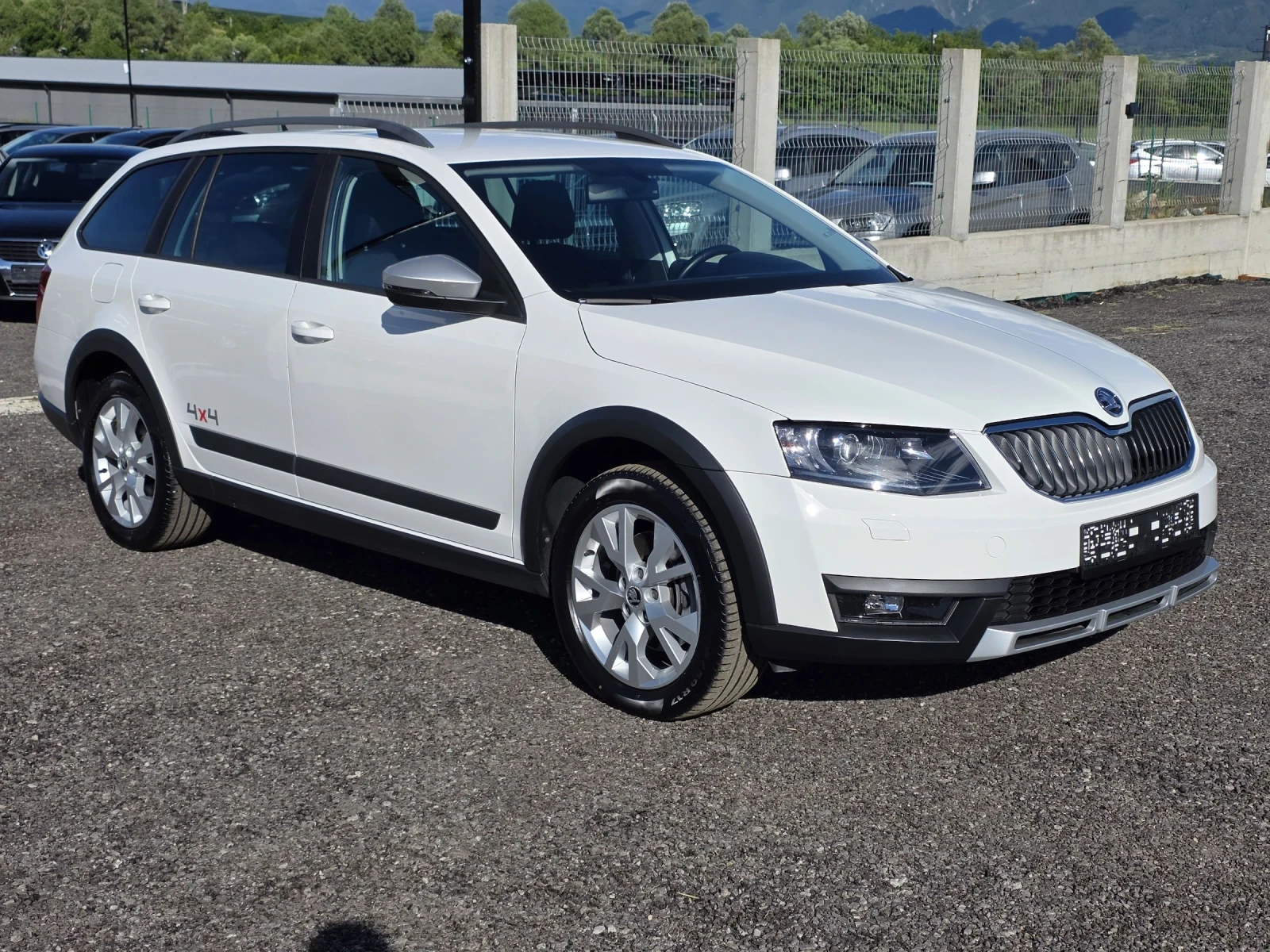 Skoda Octavia Scout DSG 4x4 Navi, снимка 2 - Автомобили и джипове - 54799771