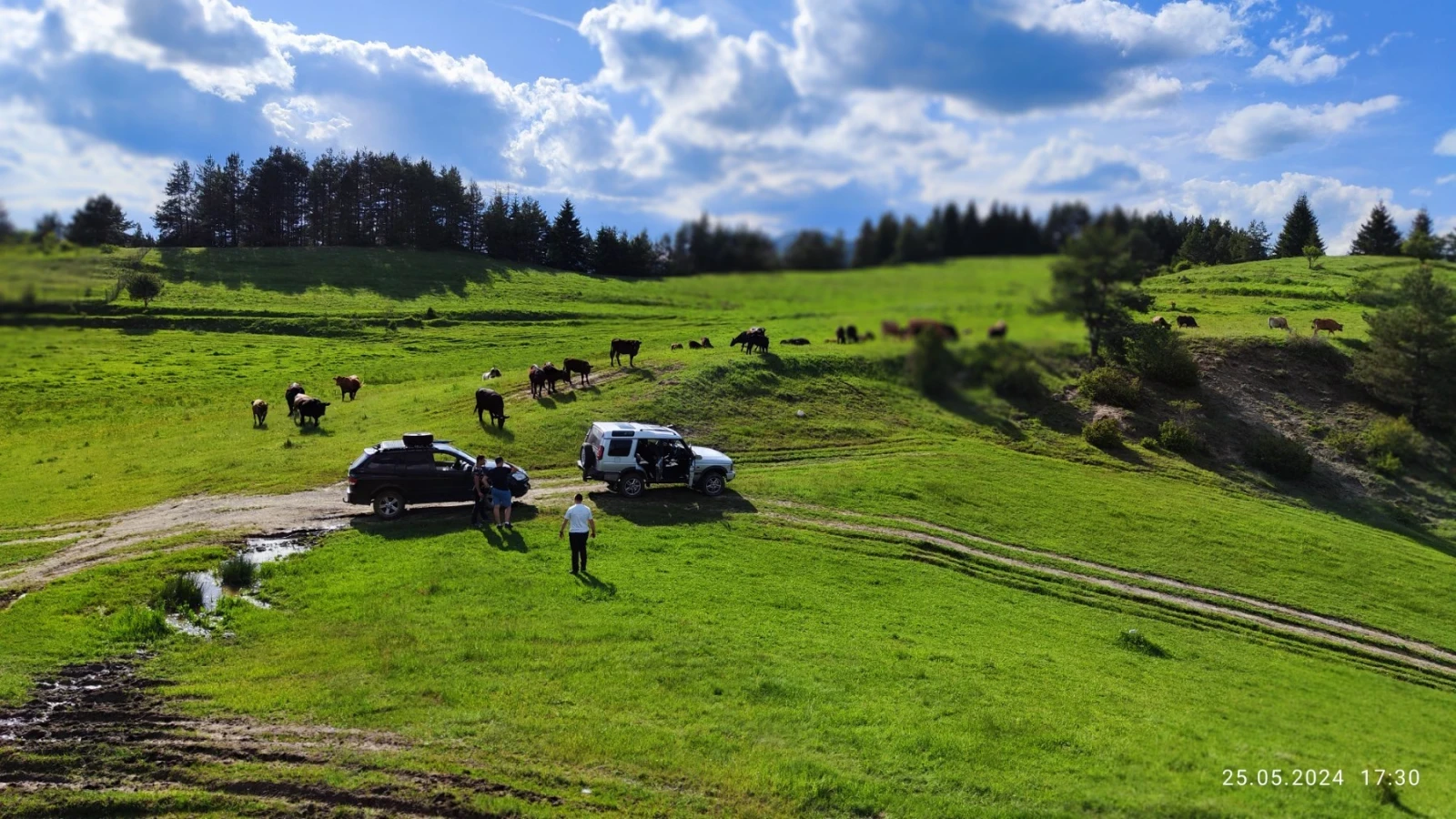 SsangYong Kyron | Mobile.bg � ����������� 17