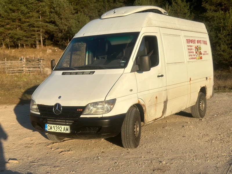 Mercedes-Benz Sprinter 313, снимка 2 - Бусове и автобуси - 47244749