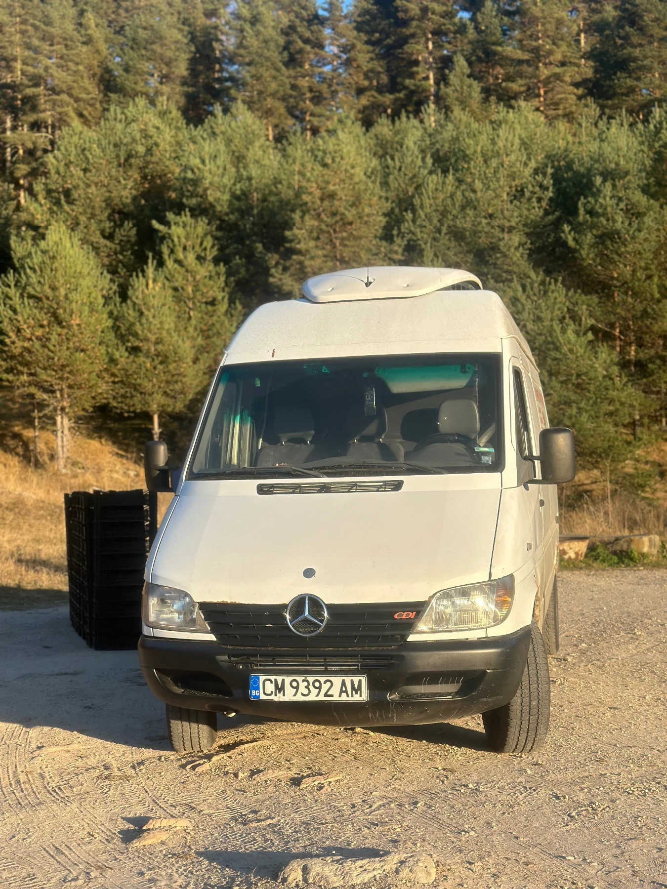 Mercedes-Benz Sprinter 313, снимка 1